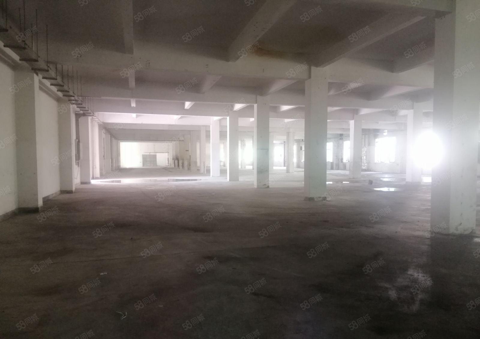 惠阳区三和经济开发区独门独院标准厂房13800平方空地6千平