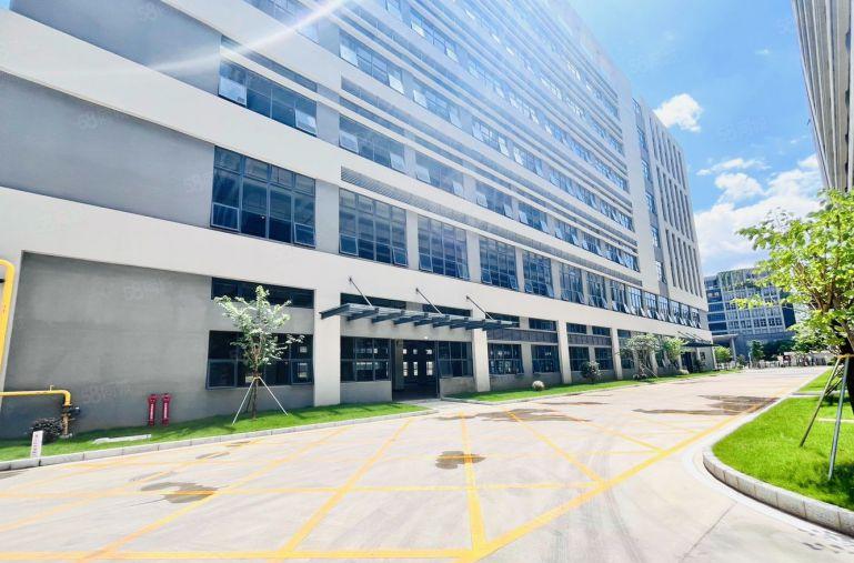 6块租新圩长布原房东18000平全新红本独院厂房