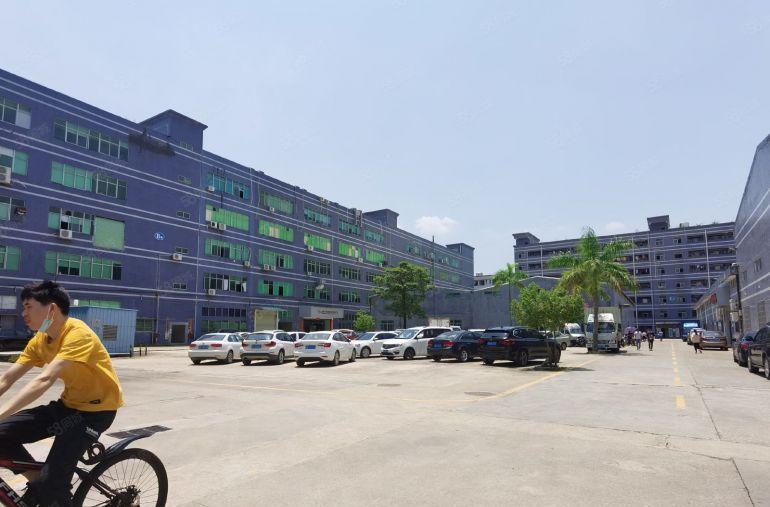 惠阳淡水中心区独院原房东红本产权仓库一楼低价出租