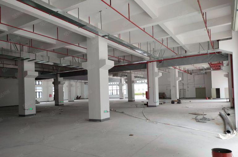 临深惠阳新圩镇全新厂房五万平单层1200平1800平10块起