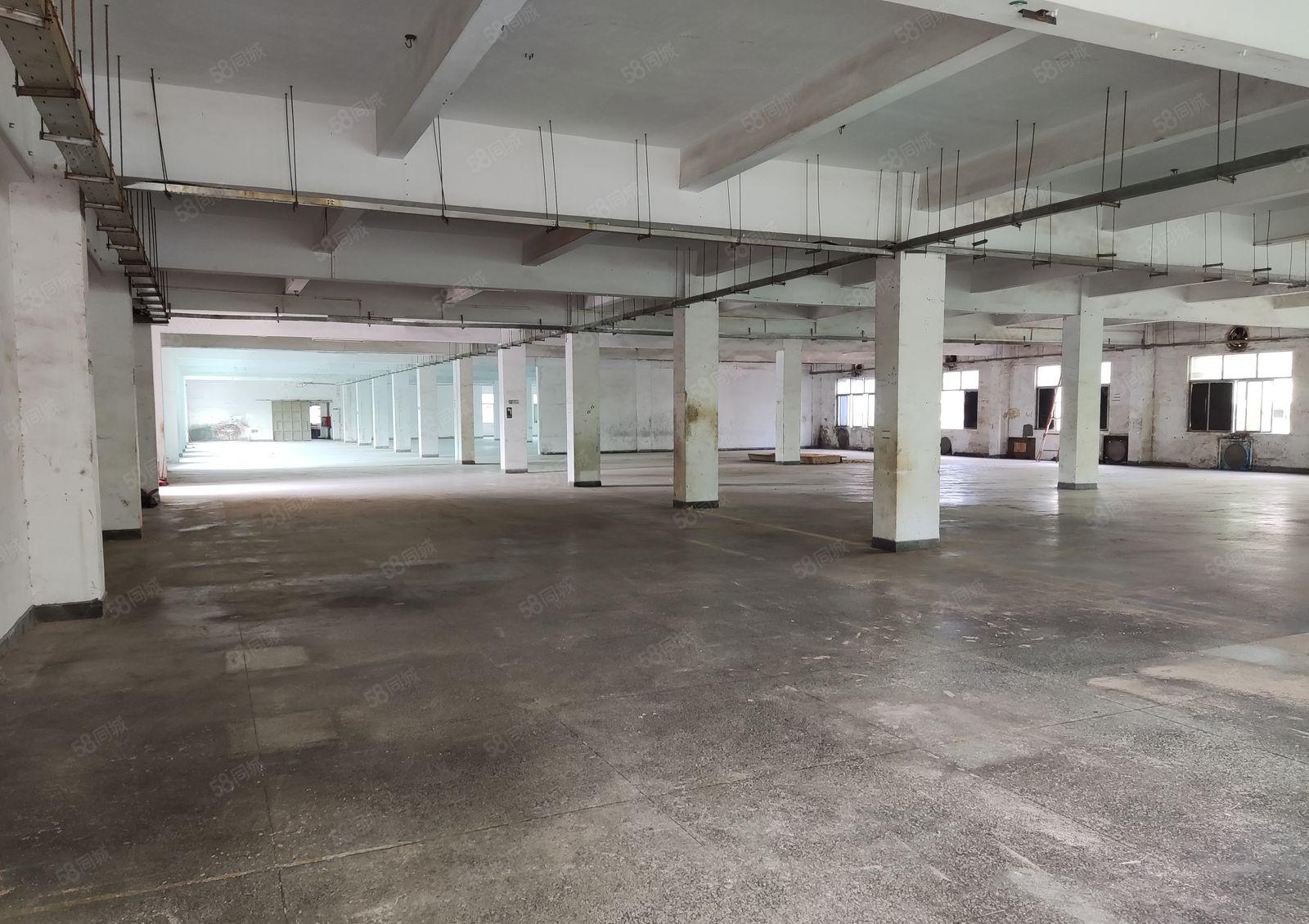 （3层独院，空地7千）三和经济开发区11500平，空地可搭建