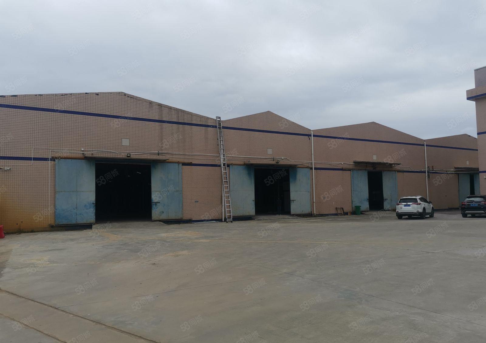 新圩长布重工业钢构11090平米出租，空地大带行车，可办环评