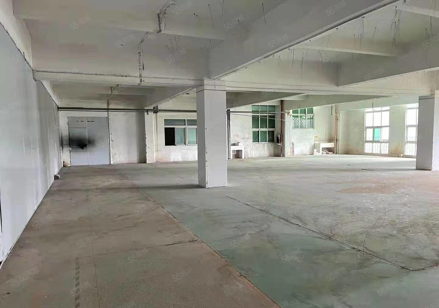 惠阳淡水新出标准厂房550平，证件齐全