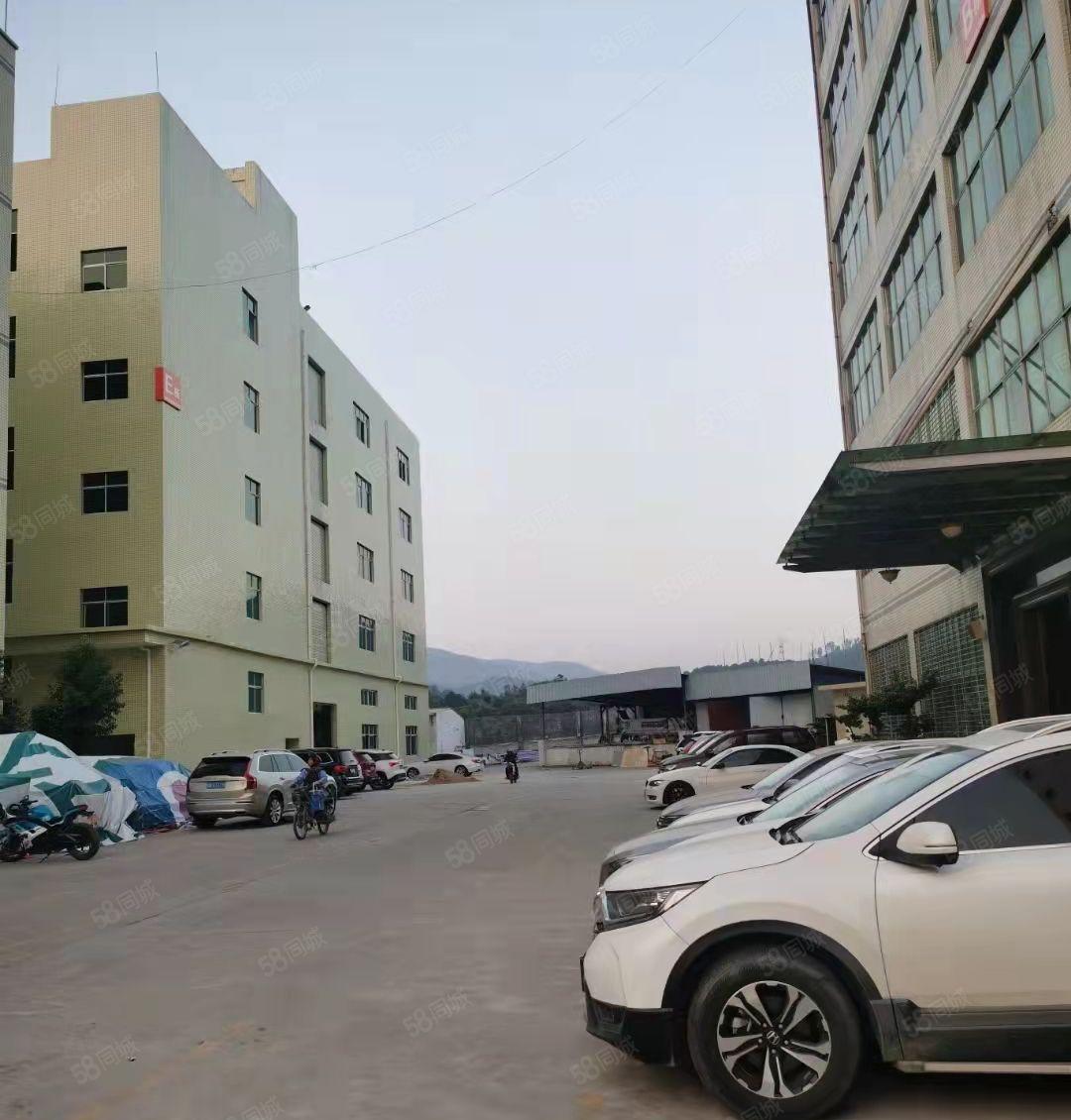 新圩镇塘吓3楼2800平方厂房出租证件齐全周边没居民