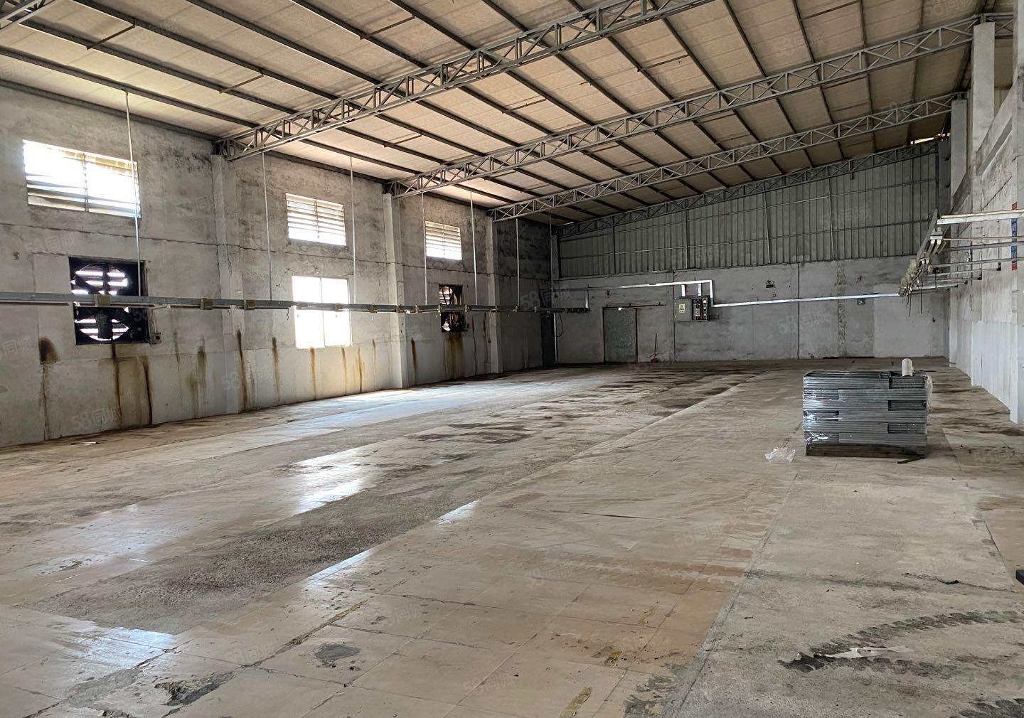 惠阳区镇隆镇新出独栋铁皮房600可做喷油