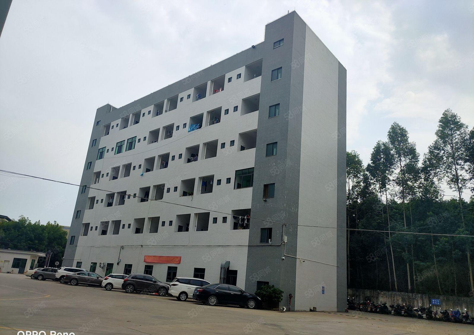 惠阳区秋长镇新空出五楼标准厂房1930平