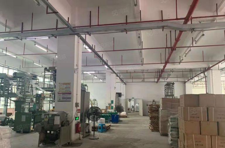 惠阳新圩8元红本厂房精装修办公室地坪漆原房东出租可分租可环评