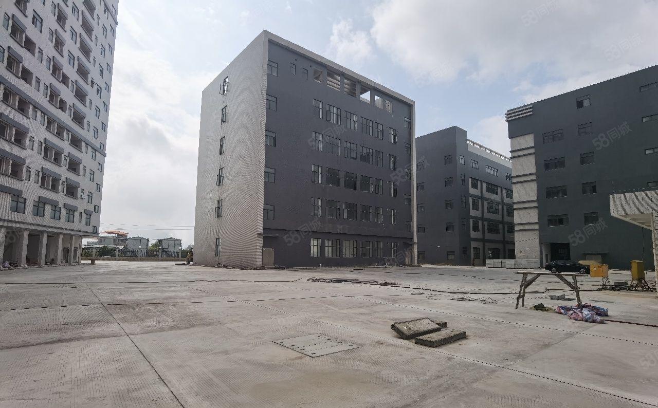 惠阳将军路口原房东红本新建厂房48000平米可分租