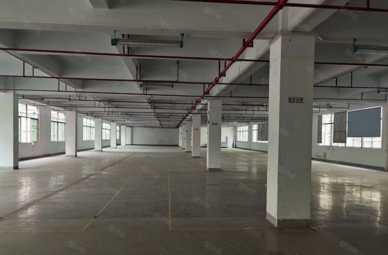 9元厂房出租陈江永华红本厂房带装修185000平300起分租