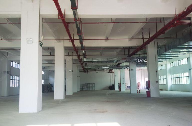 沙田出租工业园标准（厂房4F3300平米）低价8元