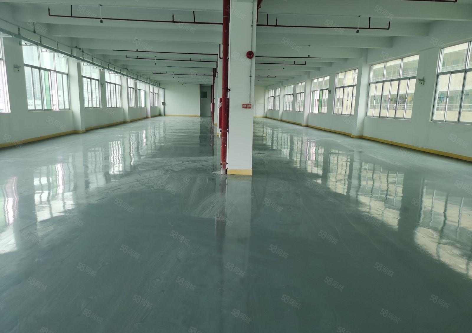 惠阳区沙田全新工业园标准厂房面积五万平米出租