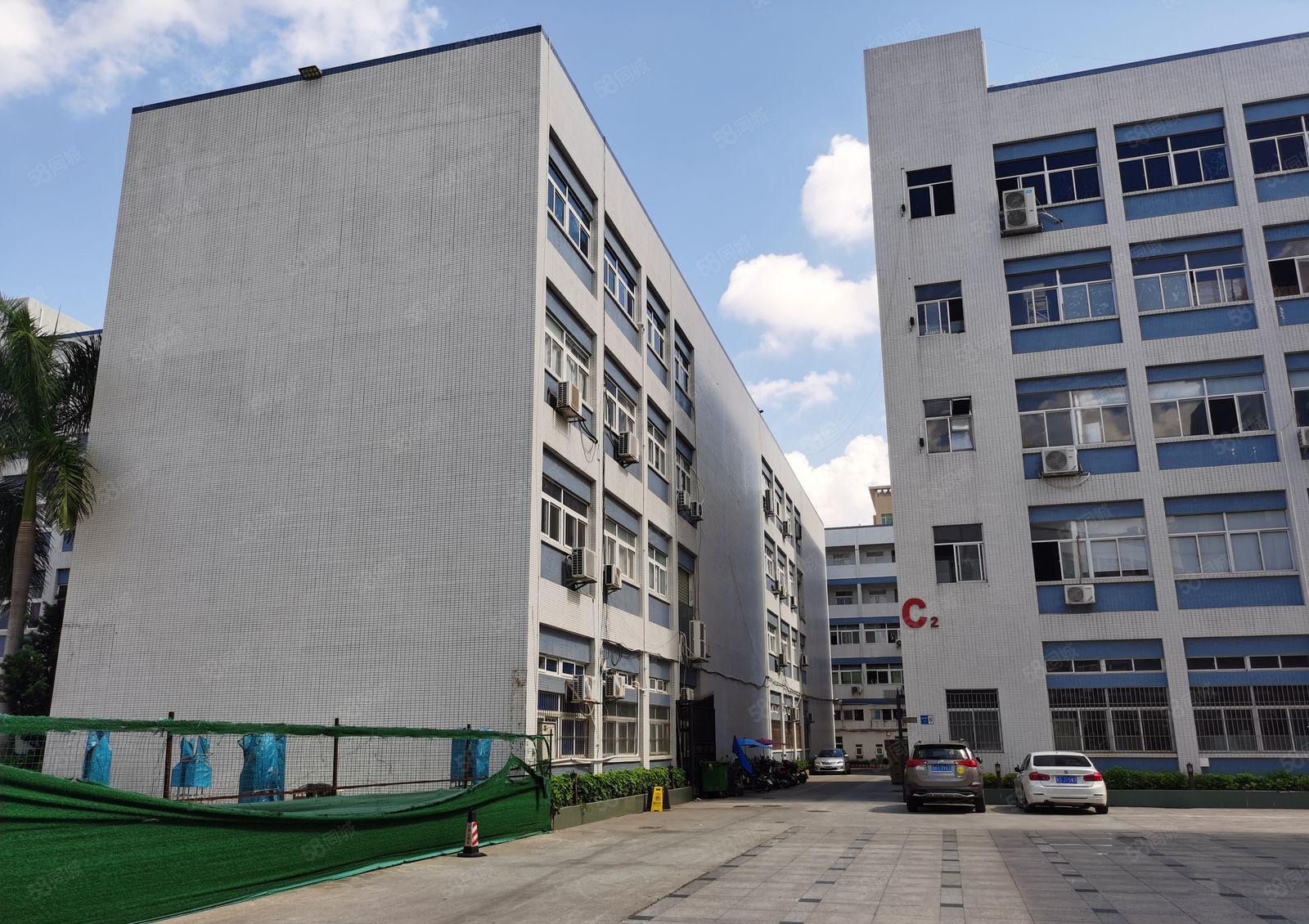 13元起租惠阳新圩茂森工业园区3000平厂房仓库出租工业用地