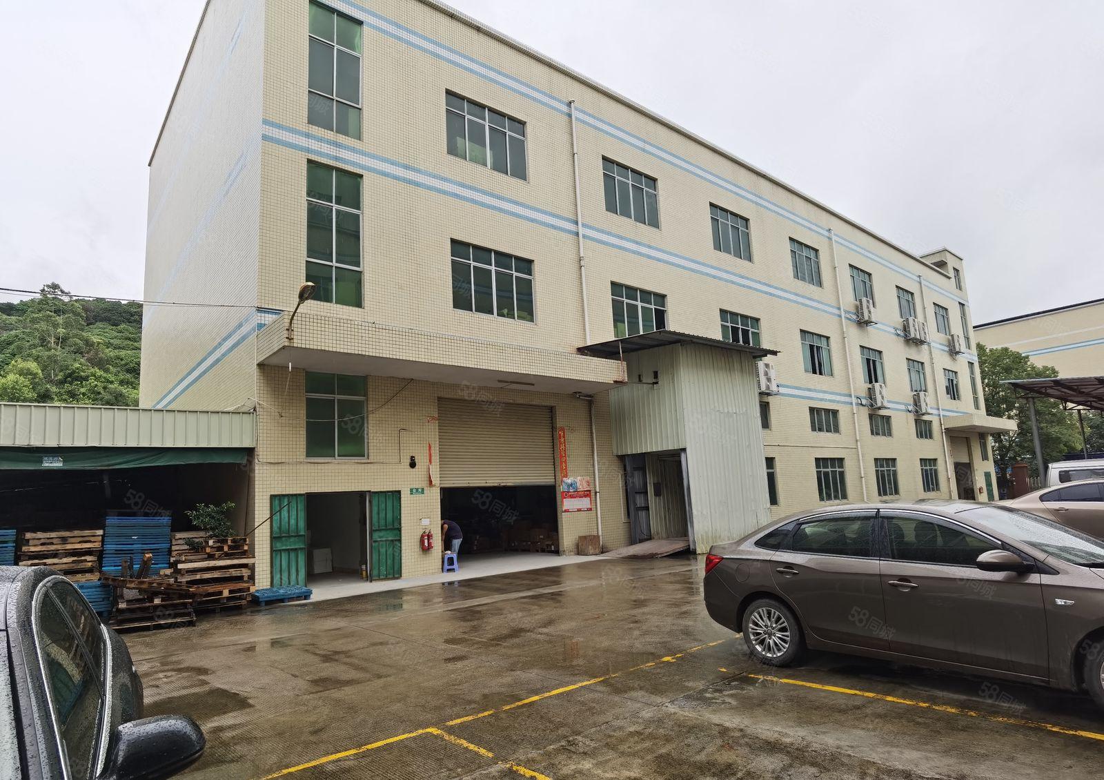 惠阳区新圩镇塘吓村4800平标准独院原房东实际面积出租