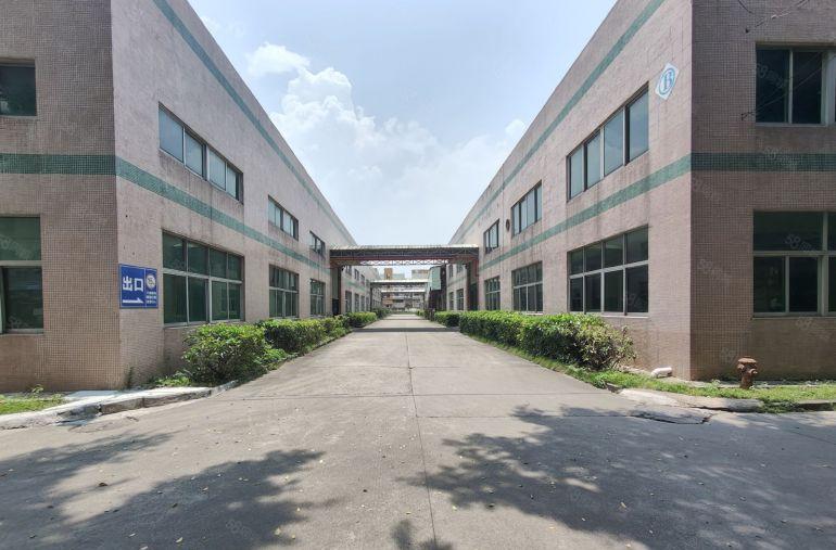 秋长新塘6000平滴水7.5米原房东单一层厂房仓库出租可分