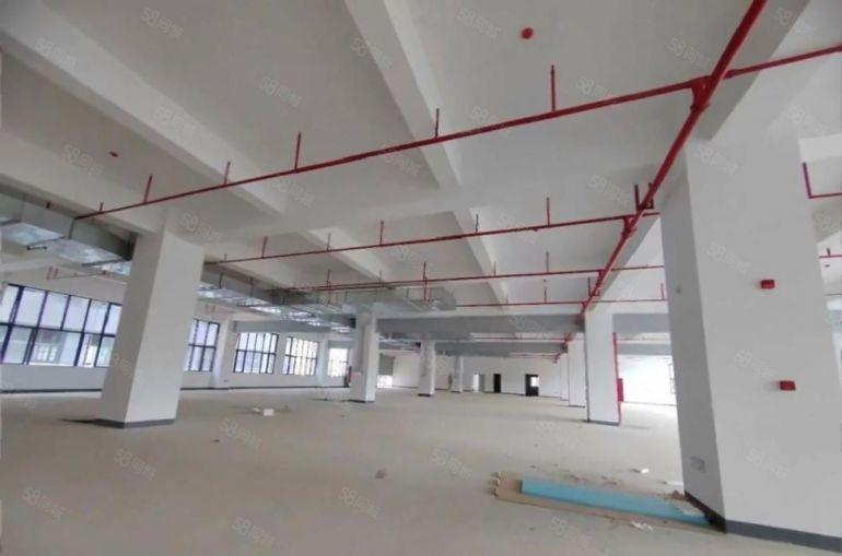 9块！深圳一公里！1000平淡水全新园区仓库厂房出租低价租