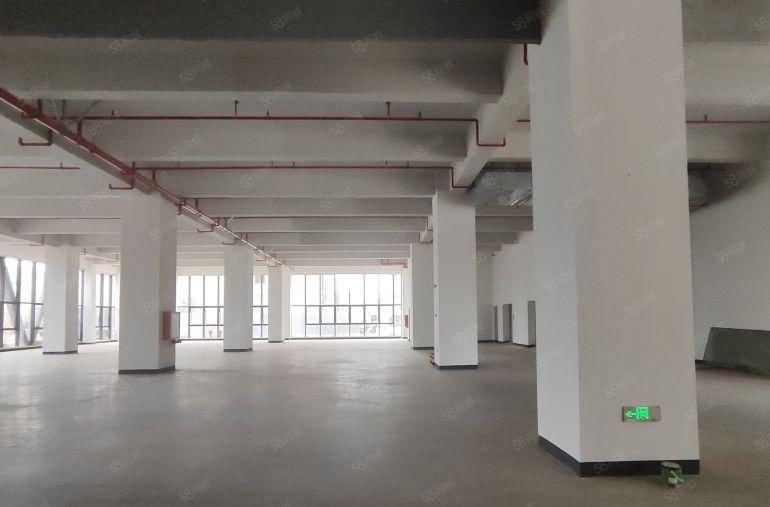 惠阳三和带家具环评高标准厂房