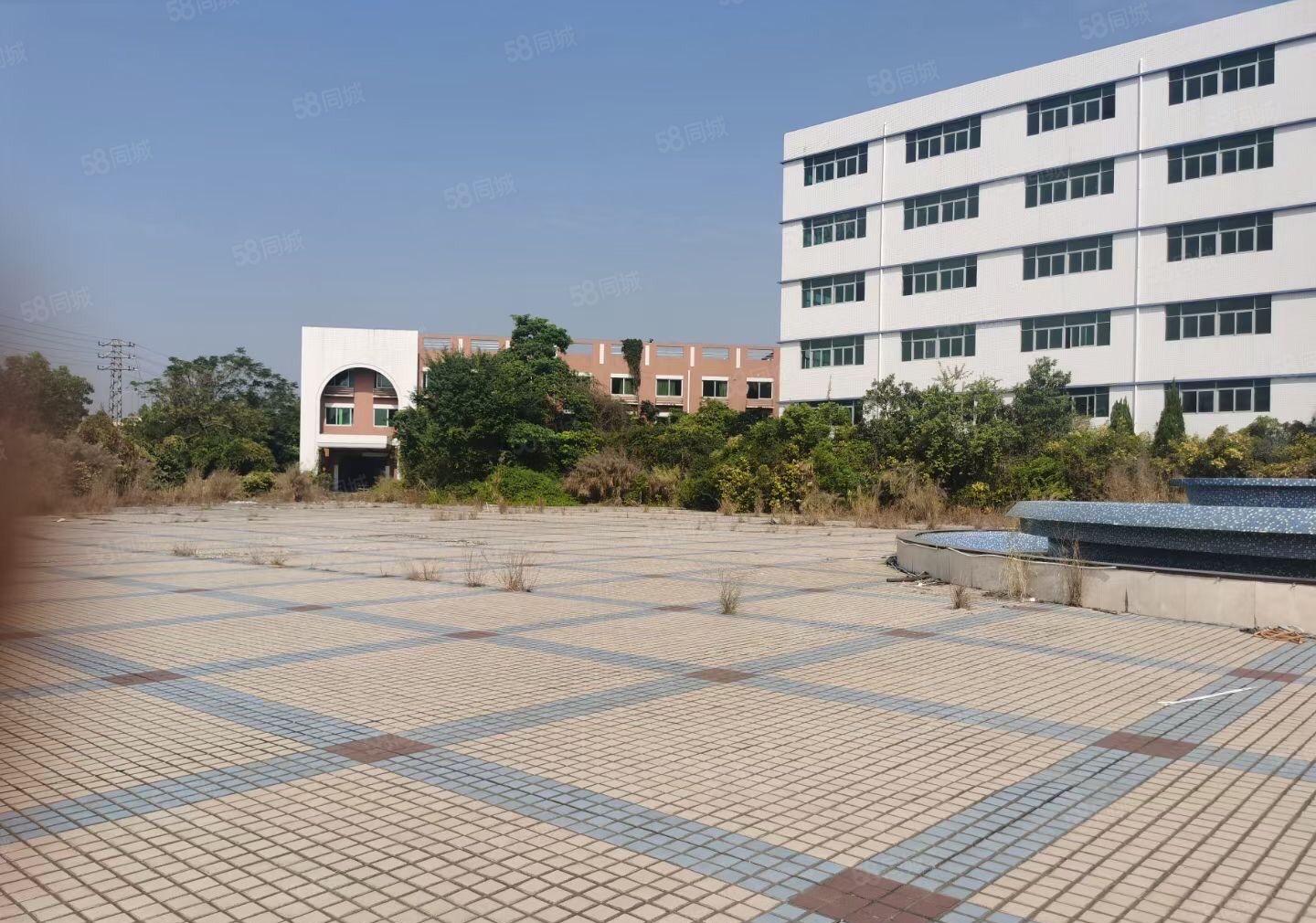 惠阳新圩约场花园式厂房88000平方大小分租