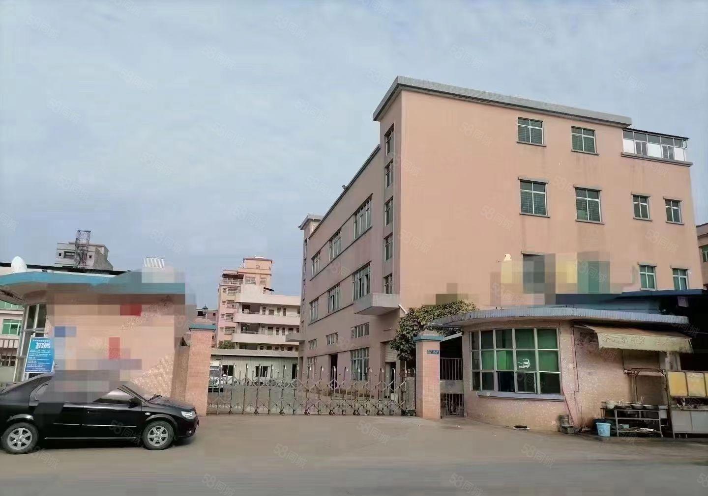 惠阳区秋长新塘新出标准独院标准厂房13层6500平方招租