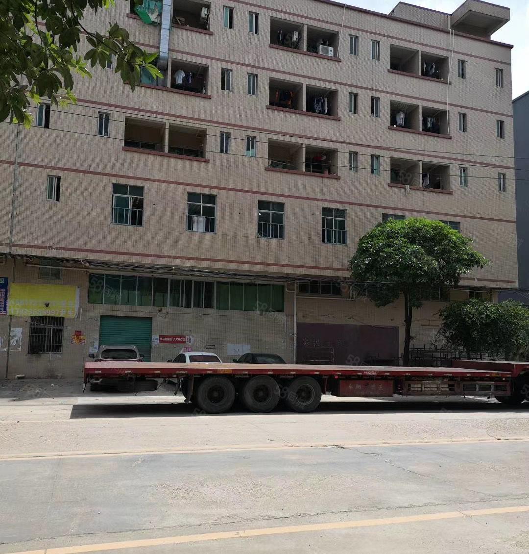 独院 惠阳秋长白石原房标准6500平米出租可分租价格便宜