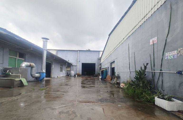 新圩新出1300平钢构厂房远离居民适合大多行业