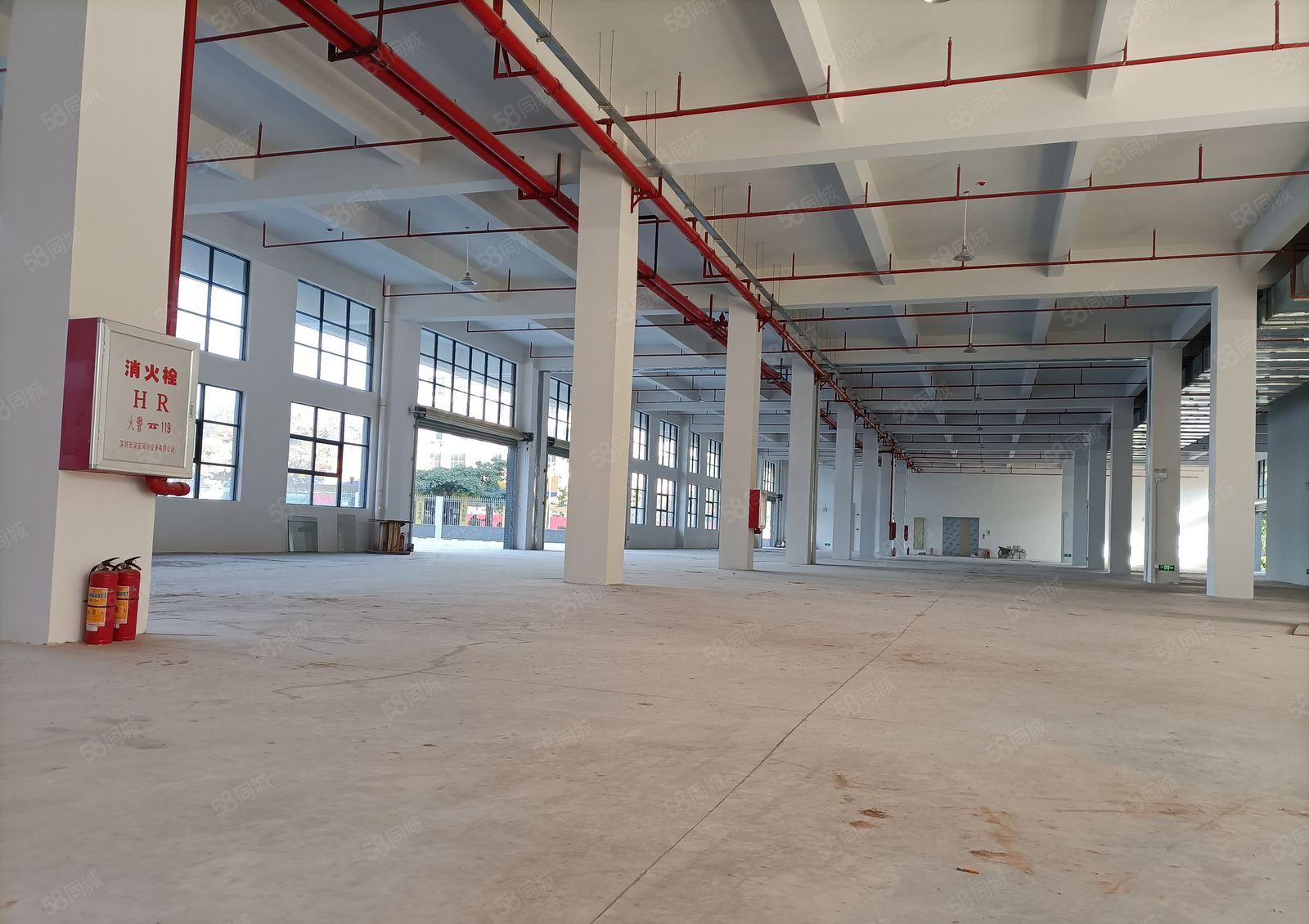 惠阳经开区50000平大型工业园10元出租