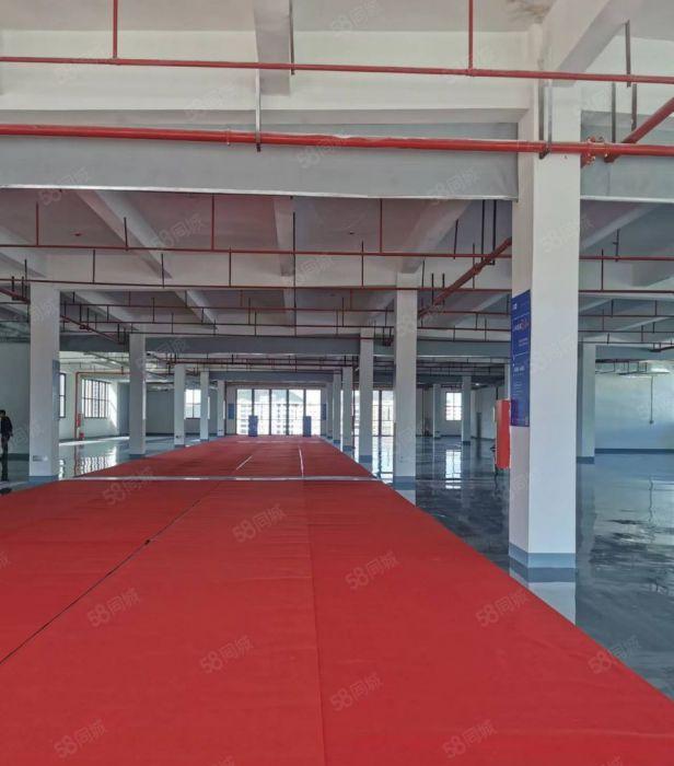 惠阳高新园区200000平米红本厂房出租可申请补贴