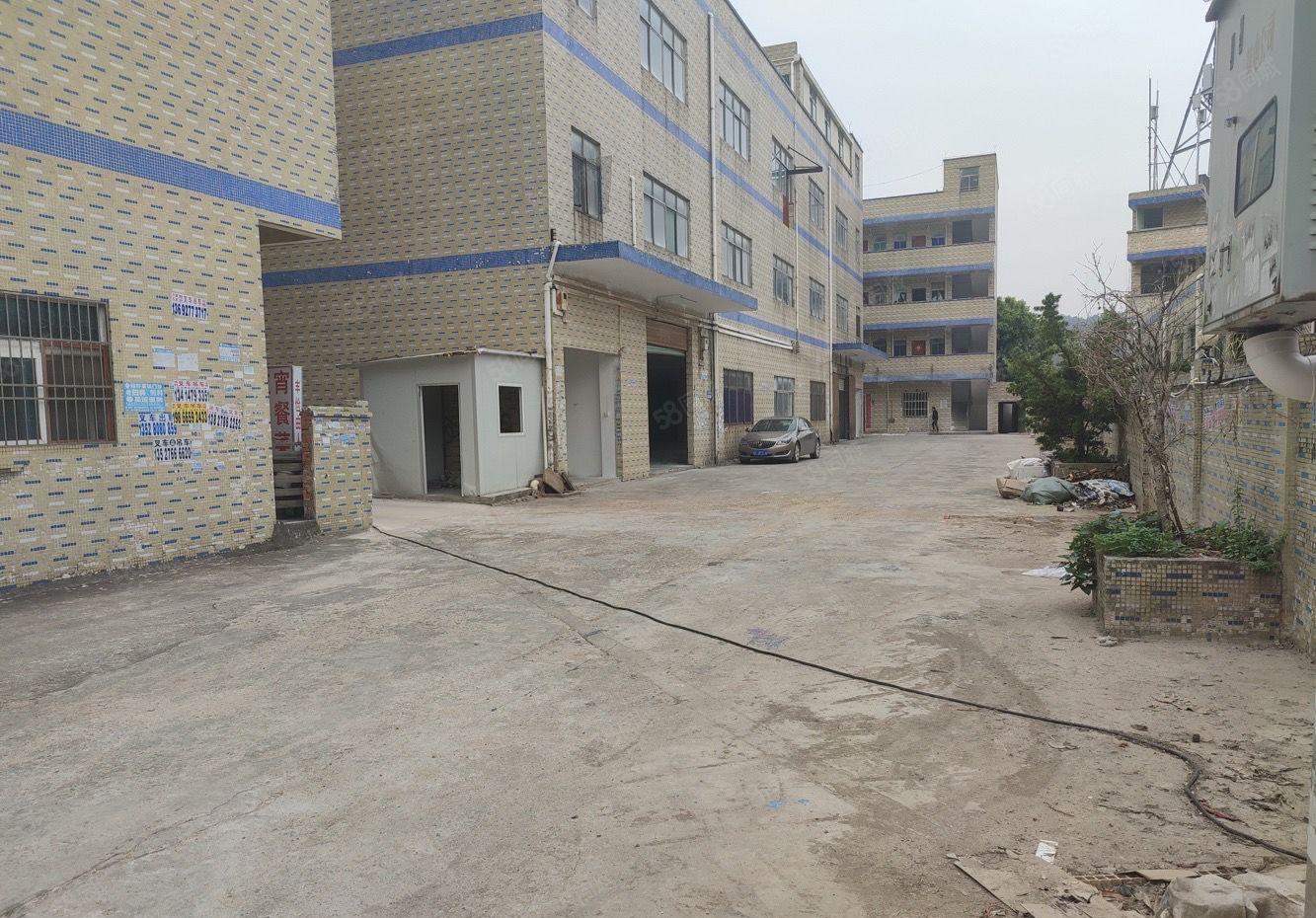 惠阳新圩临深路段3000标准厂房出租独门独院大小分租500起