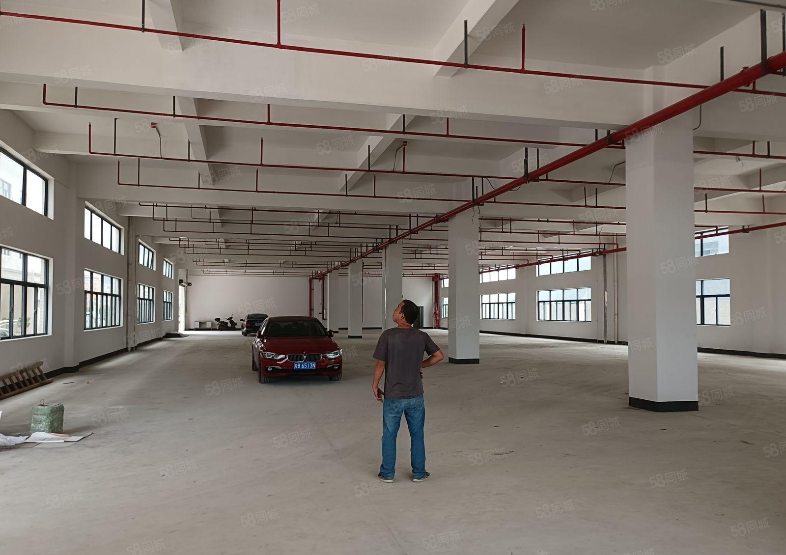 （500起分租）惠阳镇隆205国道边新出红本独院40000平