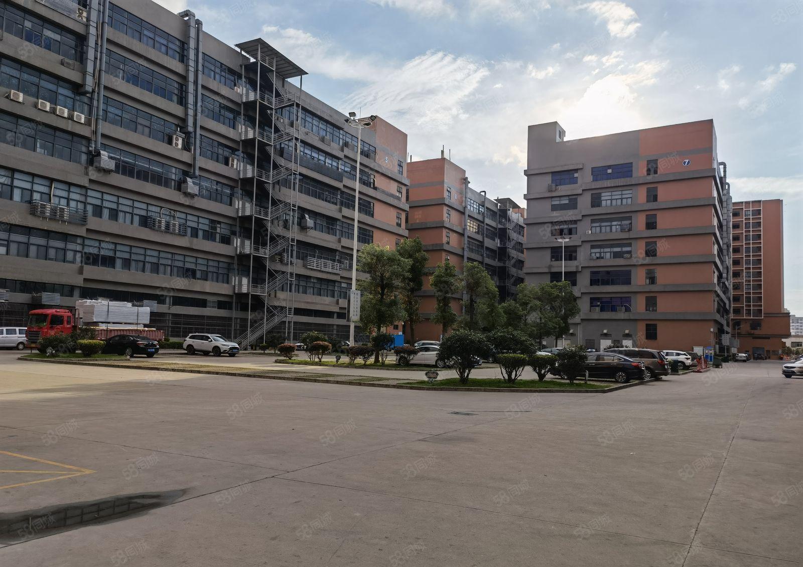 10元起租镇隆园区厂房豪华办公室装修1600平方空地大形象好