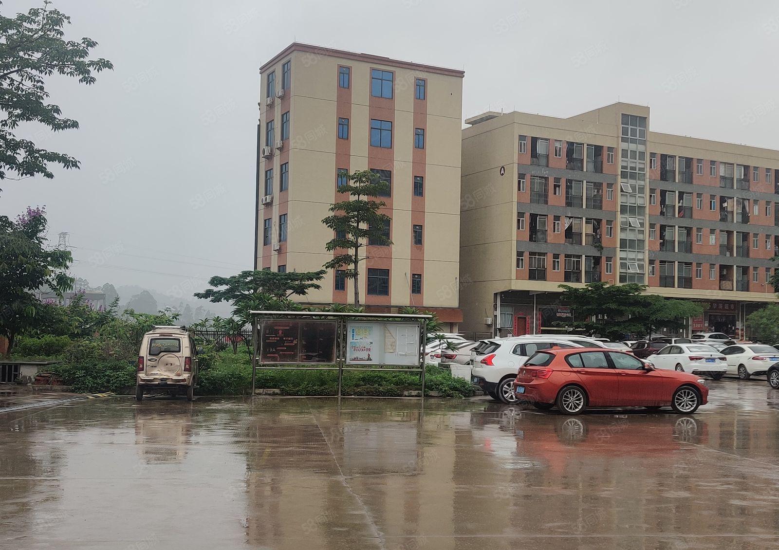 惠阳淡水新出楼上带装修1000平方独立整层三吨电梯价格12