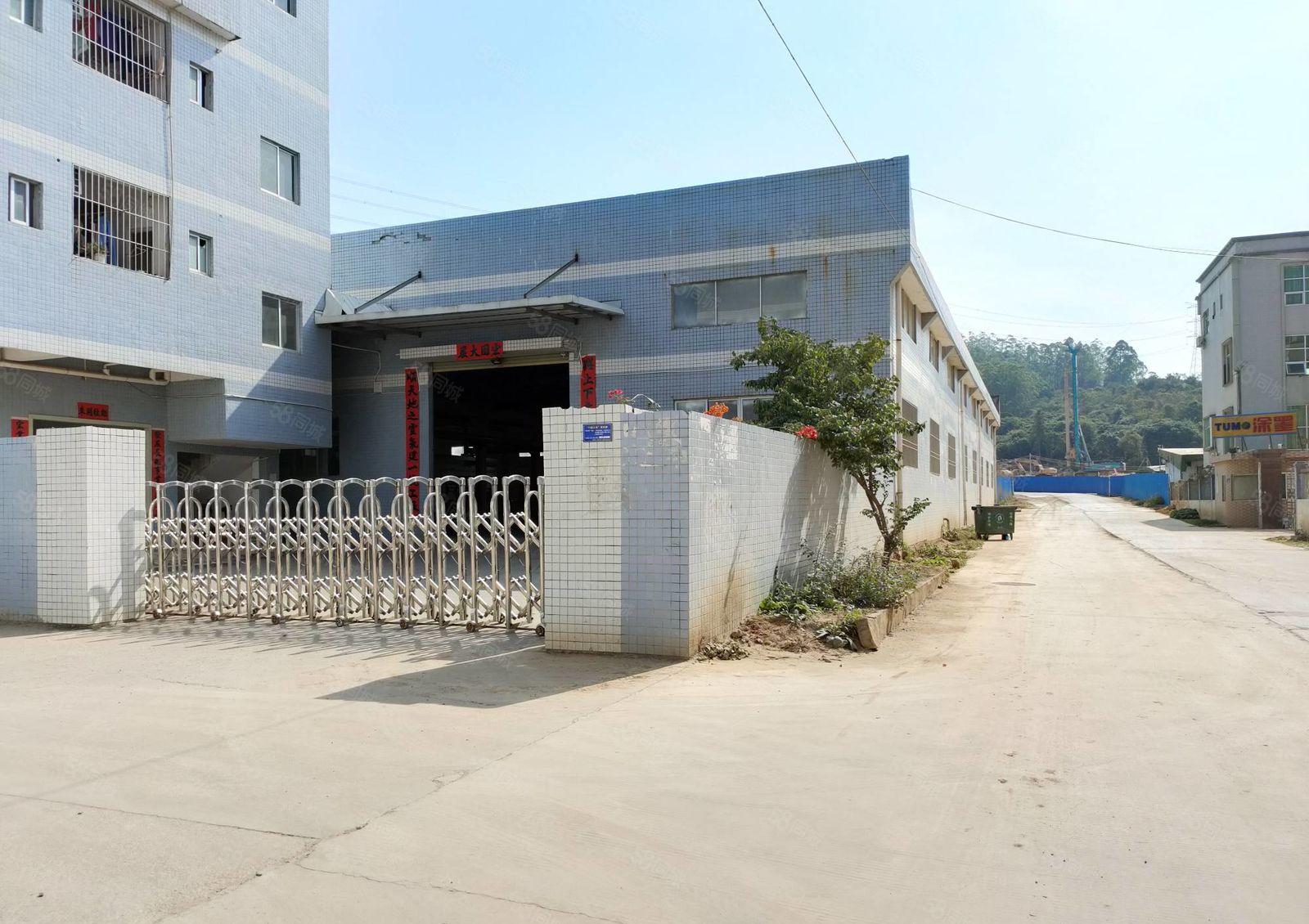 惠阳新圩长布村原房东独院钢构4800平方厂房出租靠近高速路口