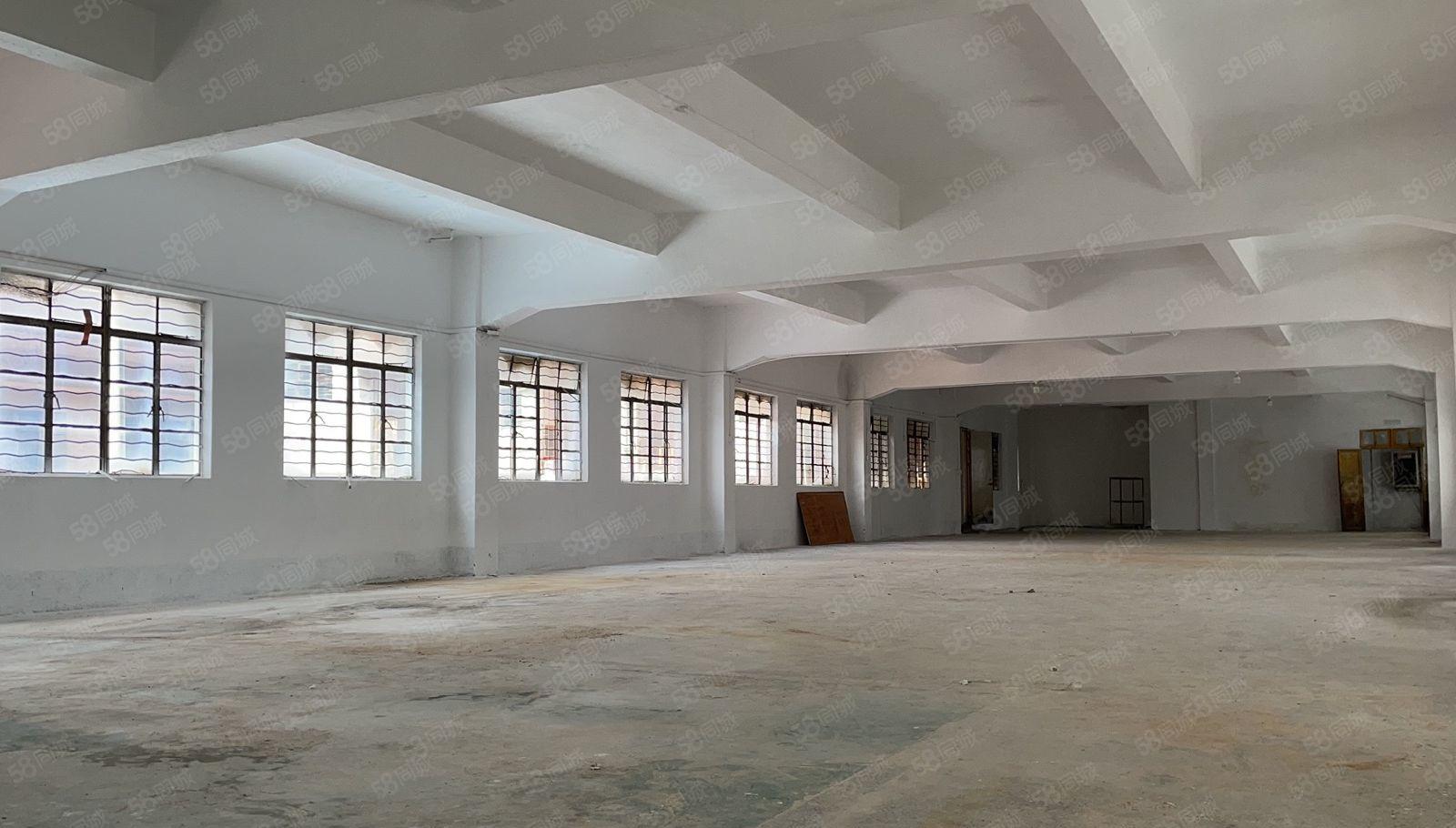 镇隆标准厂房楼上1380平米出租 大小可分