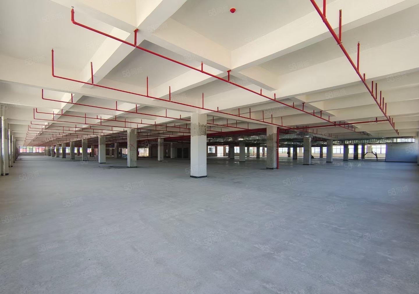 平潭怡发工业区全新独门独院1200平方厂房出租，11元一平