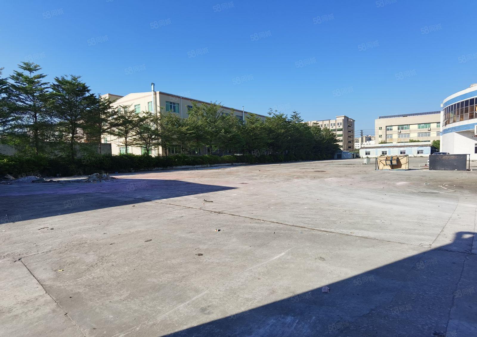 惠州市新圩镇长布村200平起分独院带钢构标准厂房原房东出租