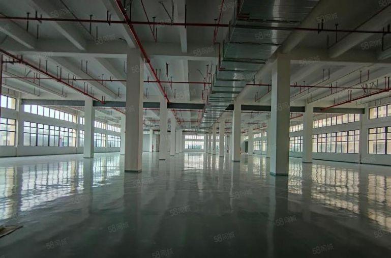 镇隆全新红本厂房仓库出租，可做独院，园区配套齐全，可分租。