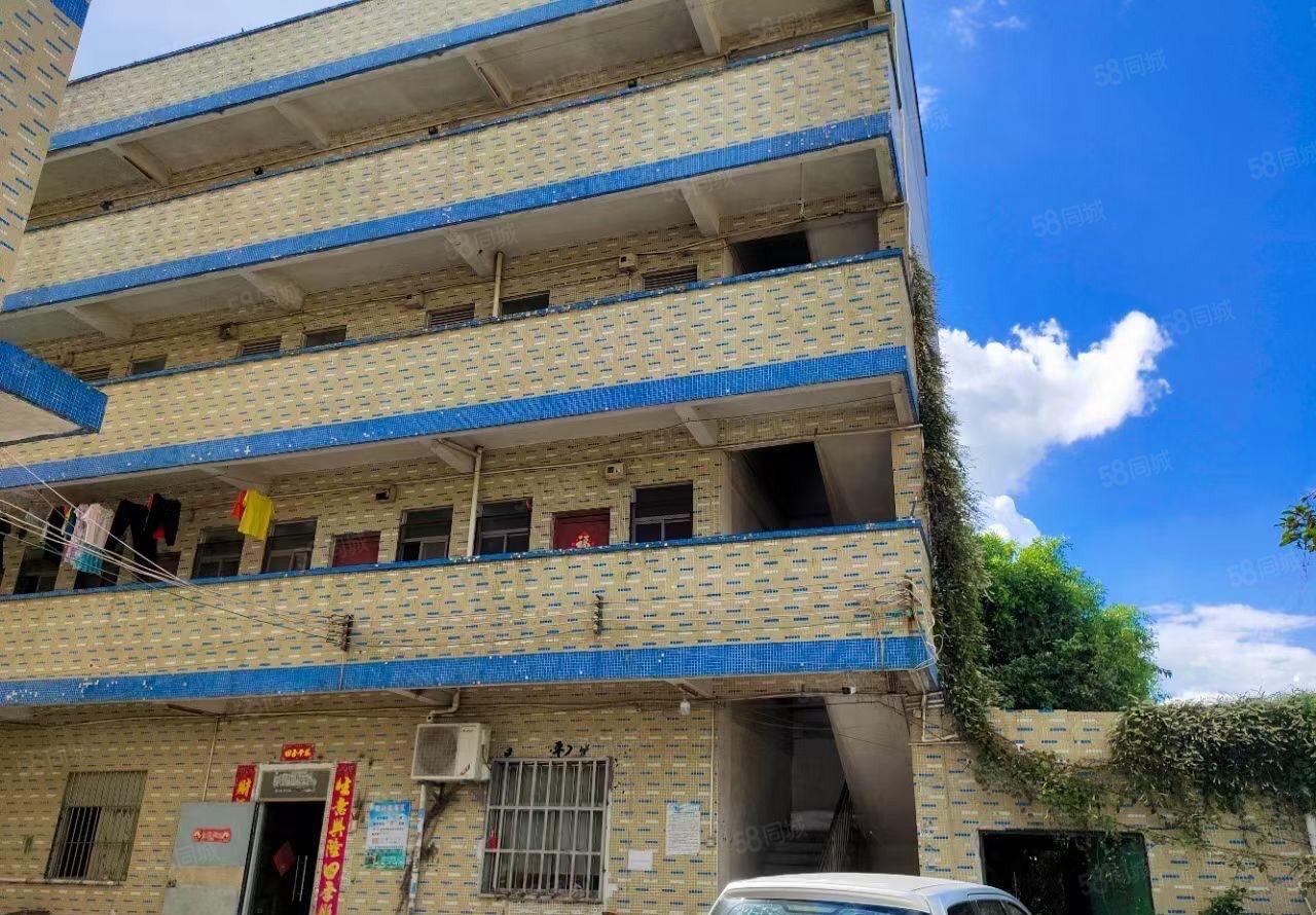 原房东独院标准厂房工业用地深圳交界处空地大环境优