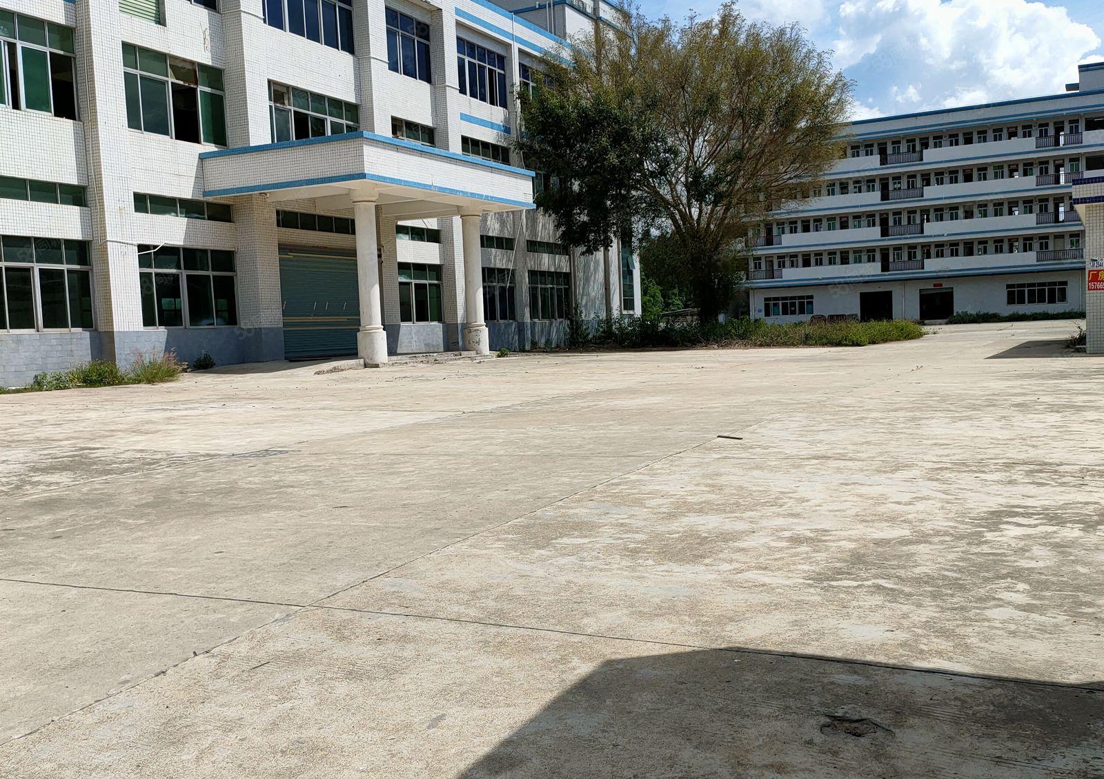 独院厂房招租（厂房6000平，宿舍1500平）