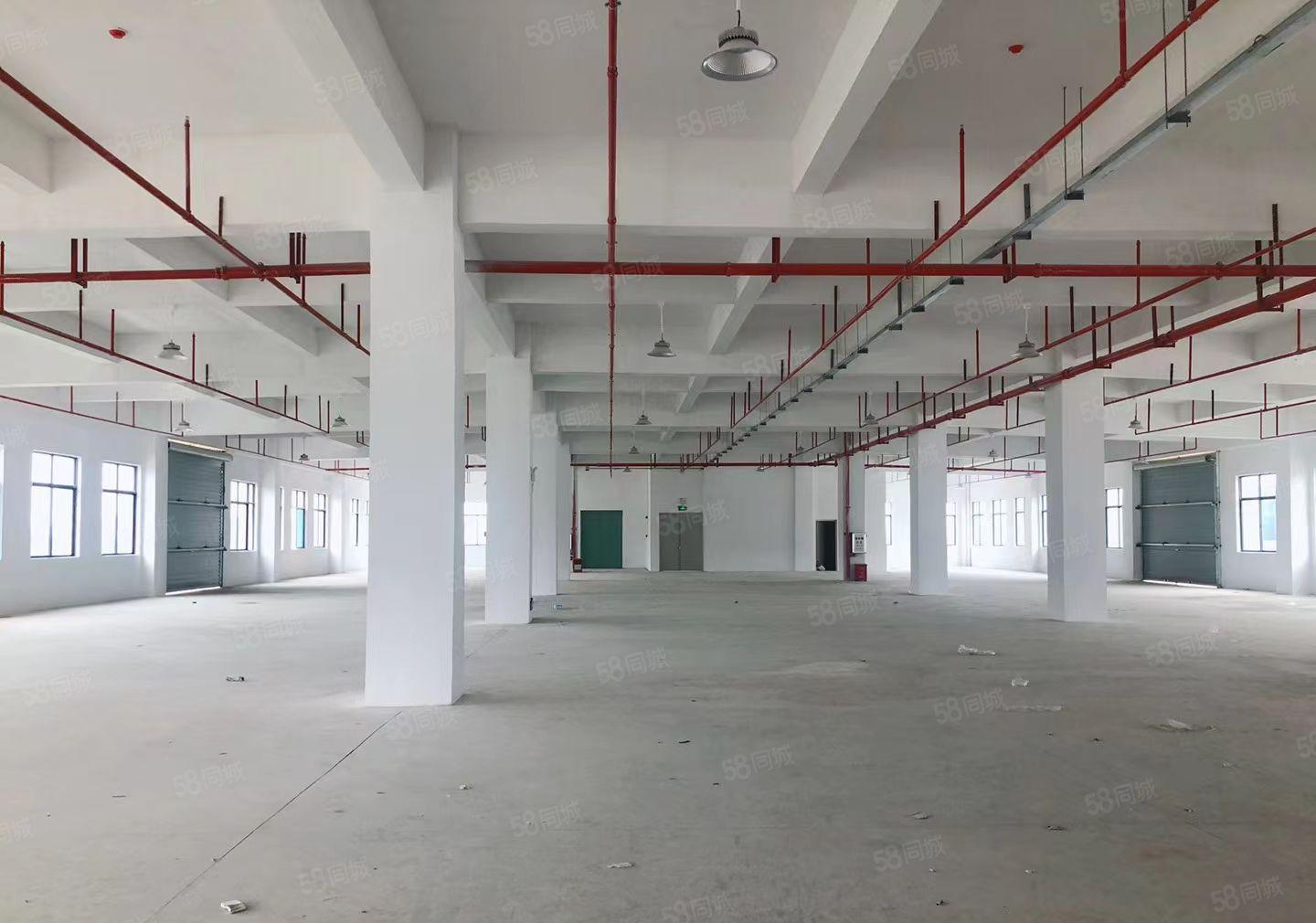 （层高7米）惠阳镇隆高田全新红本标准厂房27675平