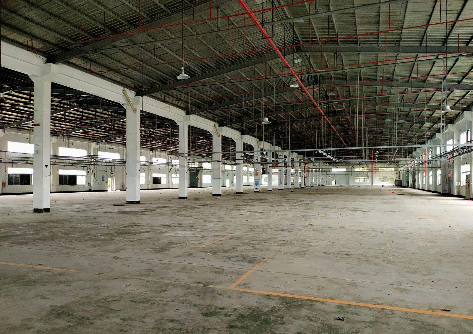 单一层钢结构10000平米出租，可整租或分租