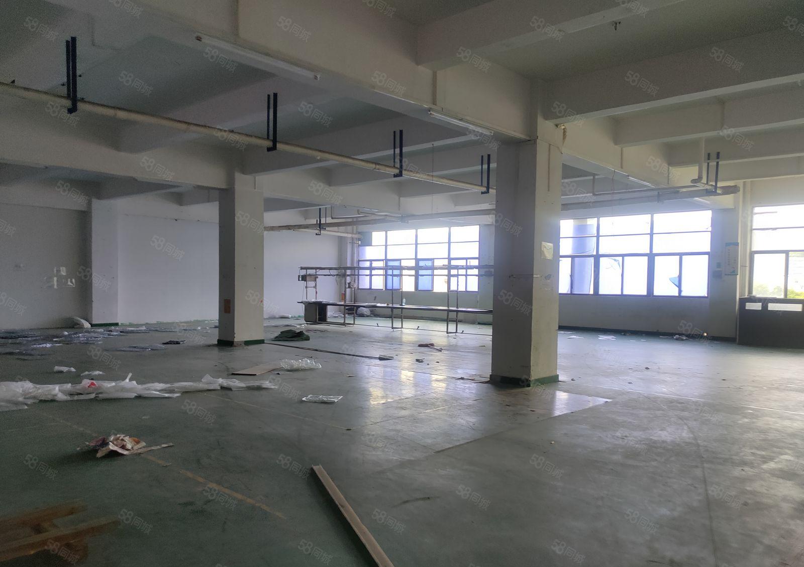 9元低价起镇隆450平方起租6000厂房出租空地大可办环评