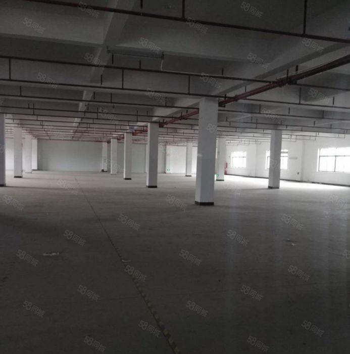 9元厂房出租陈江永华红本厂房带装修185000平300起分租