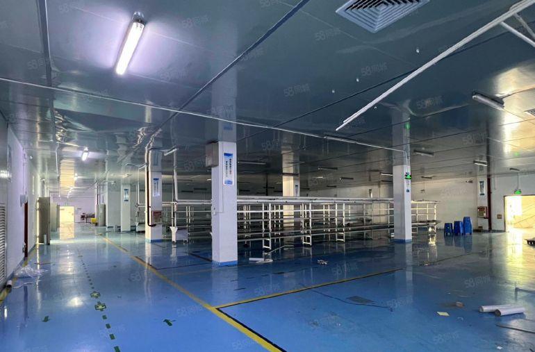 惠阳开发区，红本3600平，可，10元一平，可分租