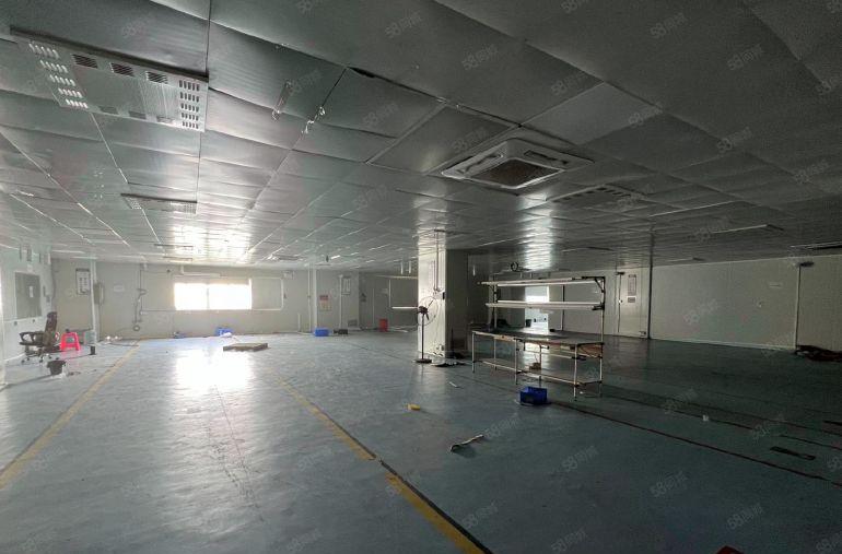 惠阳开发区，红本3600平，可，10元一平，可分租