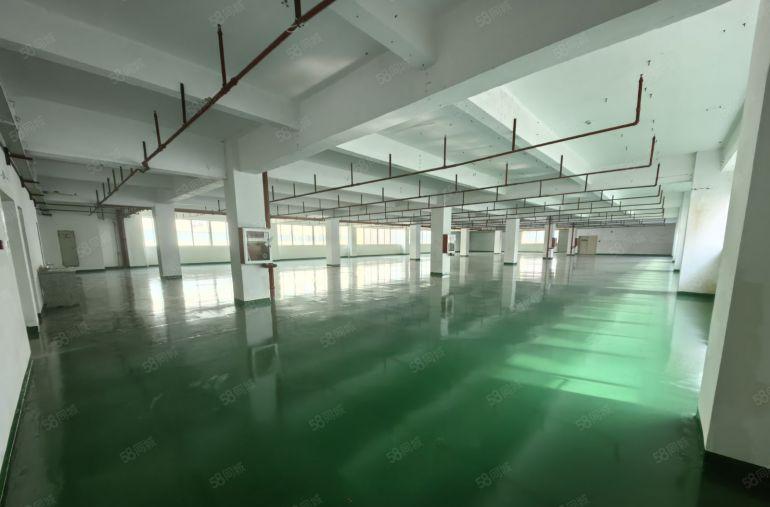 秋长白石高新园区原房东红本厂房1400平可分租现成地平漆低价