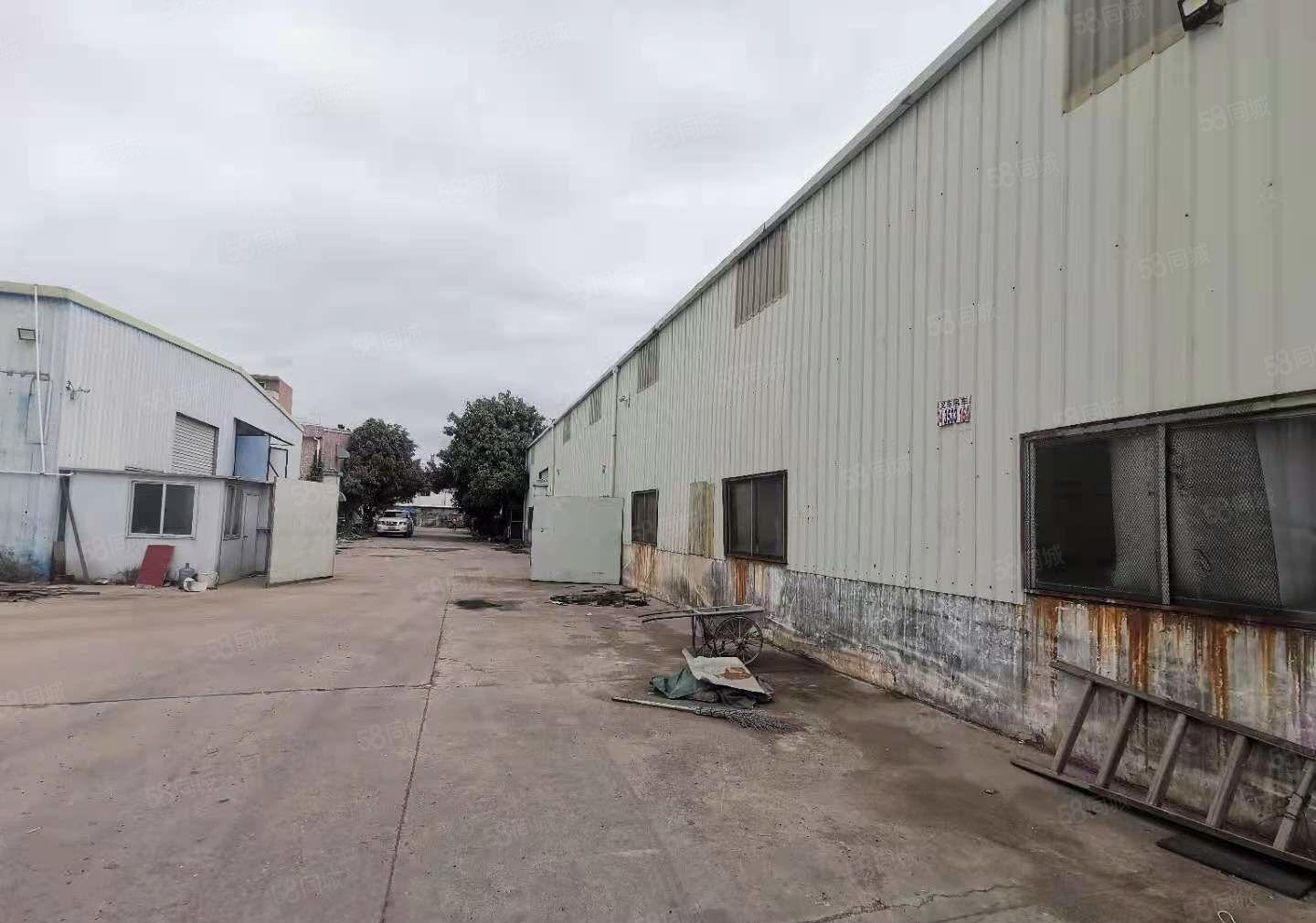 新圩工业园区3000平方钢构厂房出租，500平起分