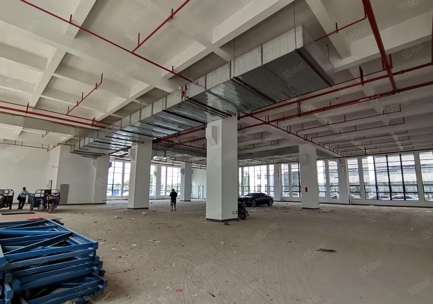 镇隆全新厂房一楼1900平方出租带牛角