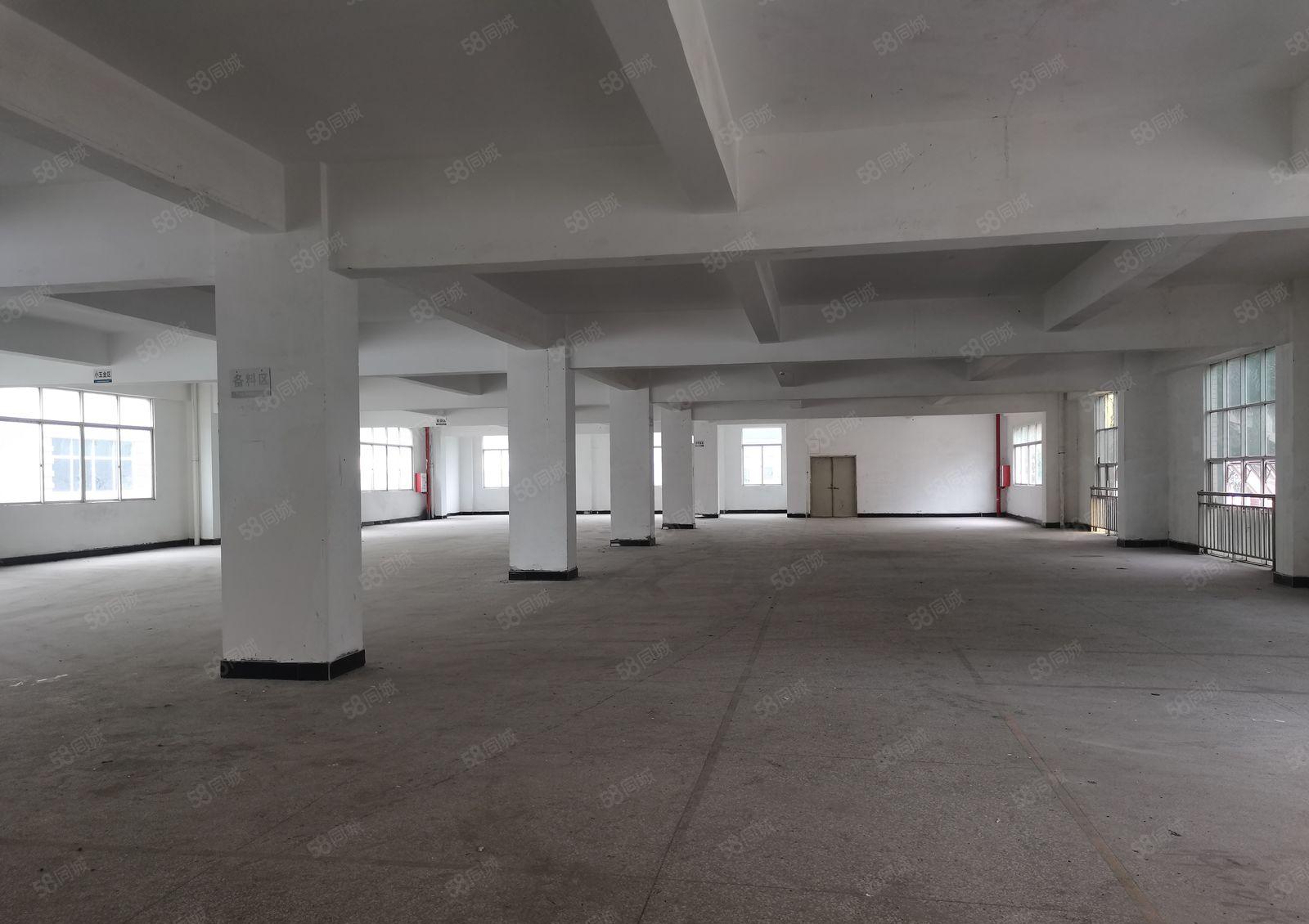 镇隆主干道边原房东独院厂房4000平方出租