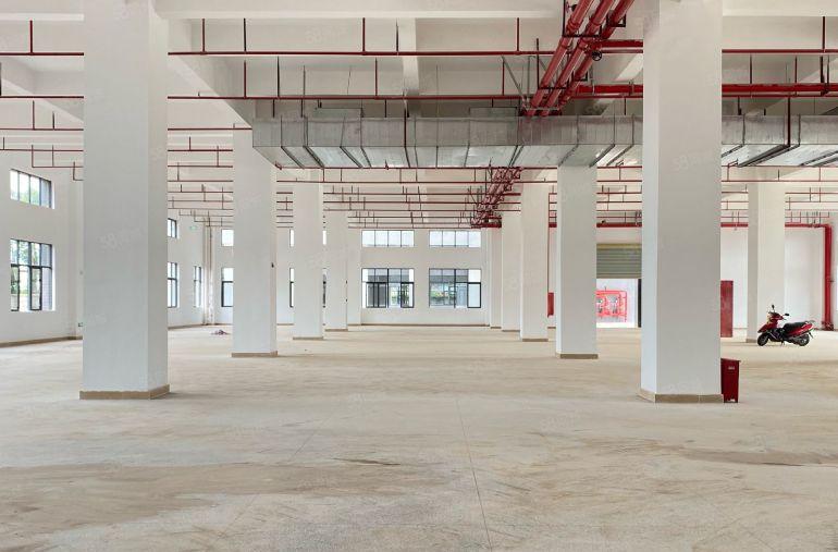 惠阳秋长原房东全新红本厂房出租约5万平方