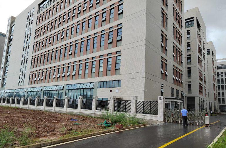 12元300平起分跟深圳一河之隔的国有红本厂房20000平