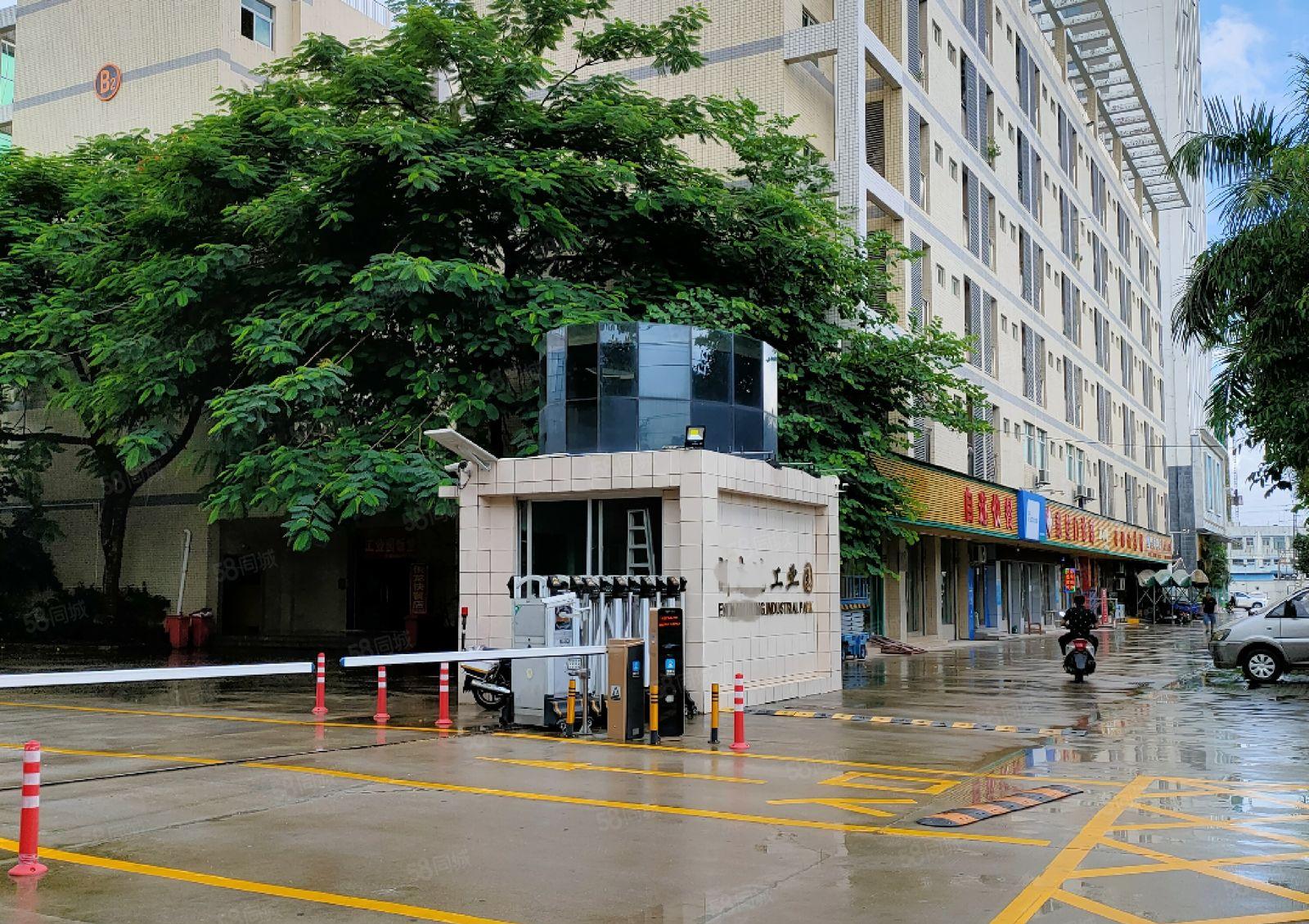 花园式厂房招租（整栋6000平米15000平米，可分租）